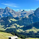 Adelhome Mit Gartensitzplatz Adelboden