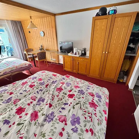 Apartment Adelhome Mit Gartensitzplatz Adelboden