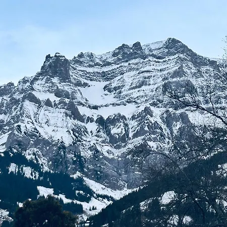 Adelhome Mit Gartensitzplatz Appartamento Adelboden