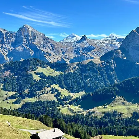 Adelhome Mit Gartensitzplatz Adelboden