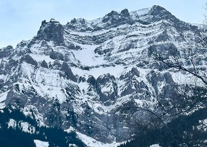 Adelhome Mit Gartensitzplatz Apartamento Adelboden