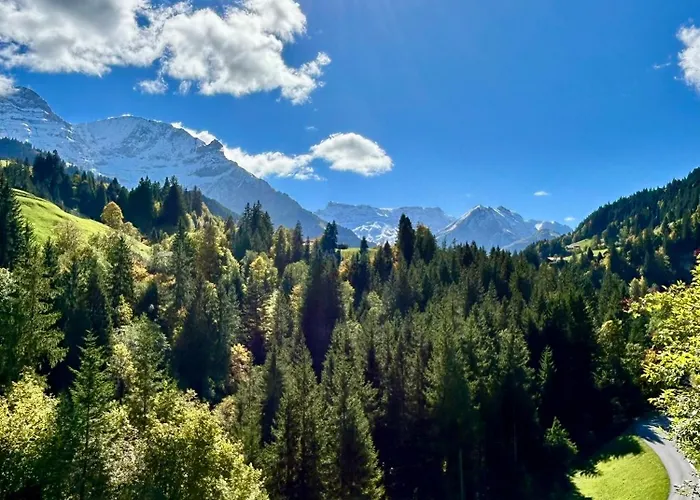 Apartamento Adelhome Mit Gartensitzplatz Adelboden