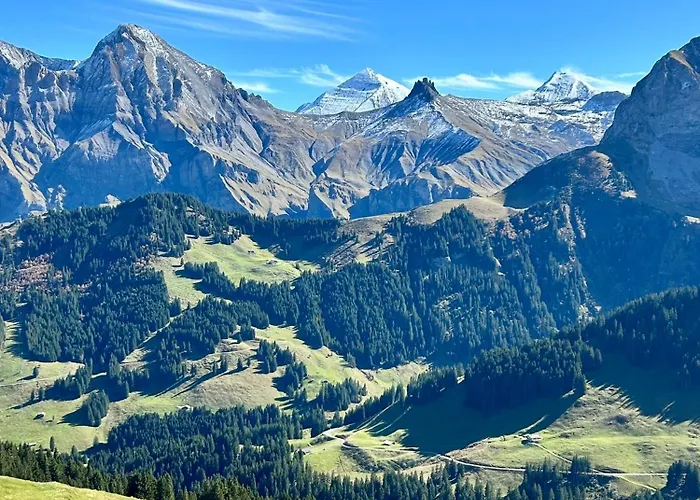 Adelhome Mit Gartensitzplatz Adelboden
