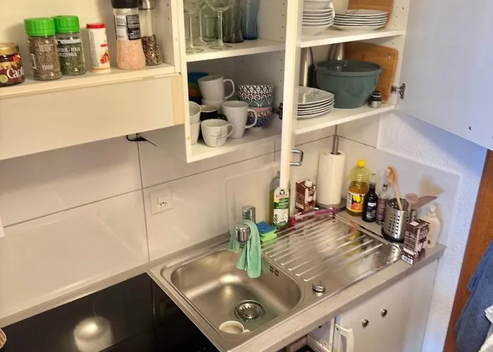 Adelhome Mit Gartensitzplatz Lejlighed Adelboden