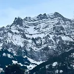 Adelhome Mit Gartensitzplatz Daire Adelboden