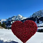 Daire Adelhome Mit Gartensitzplatz Adelboden