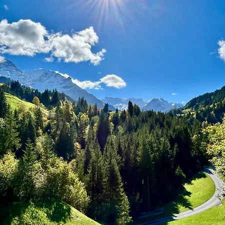 Apartment Adelhome Mit Gartensitzplatz Adelboden
